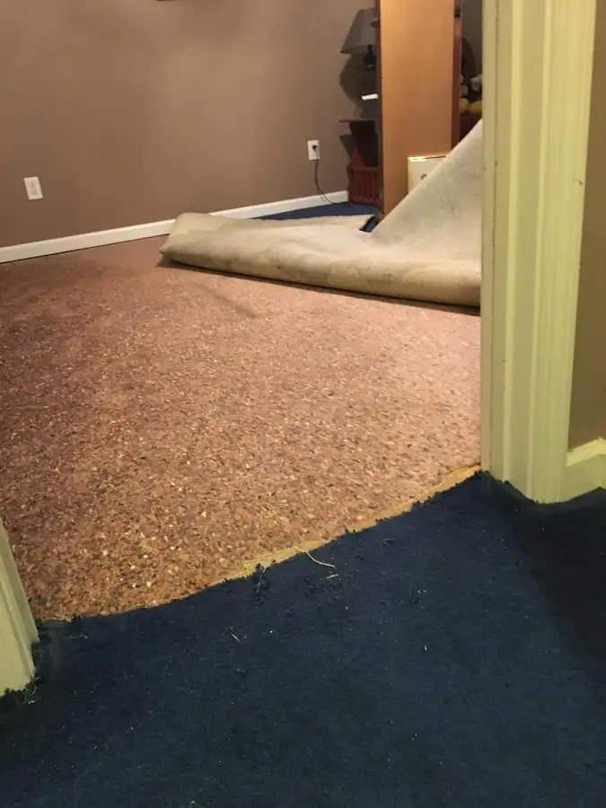 Carpet pad removal revealing water damage during Water Mitigation Services in Brookline
